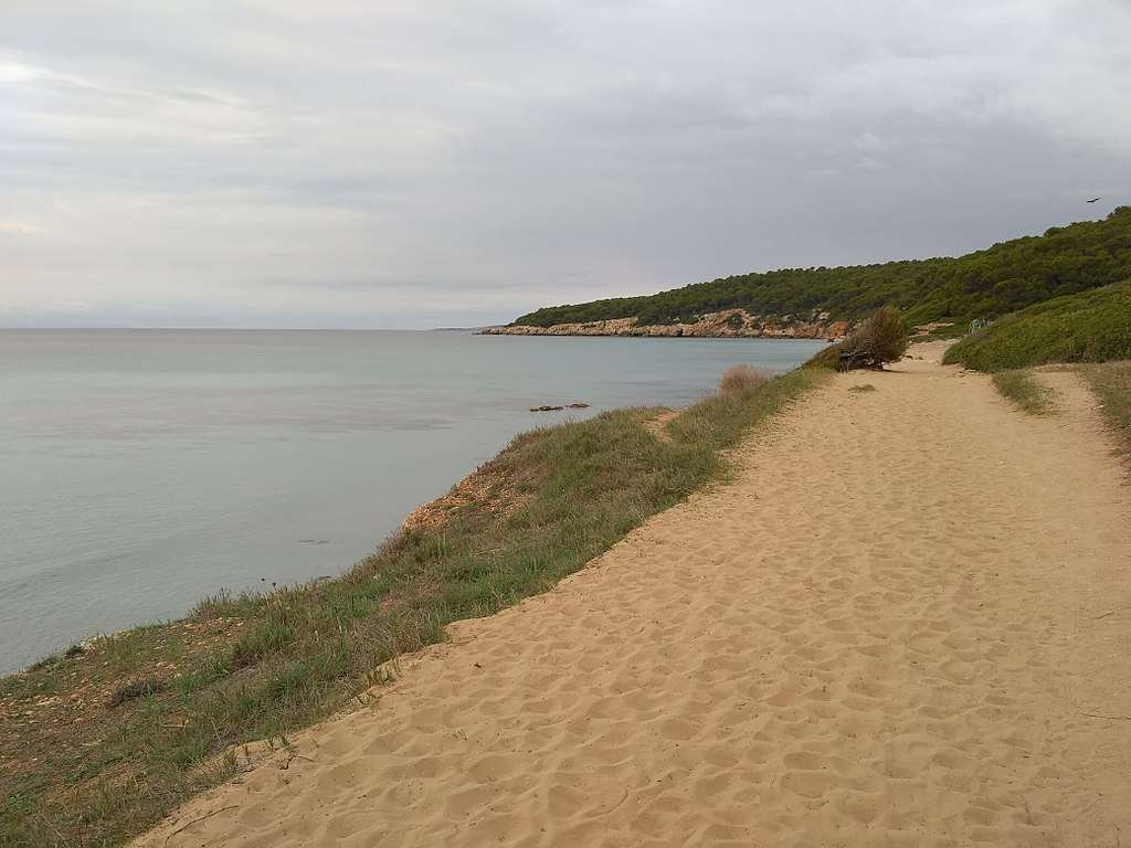 Santa Eularia