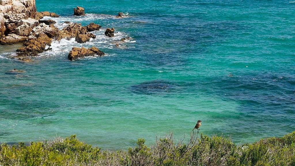 Cala Pudent